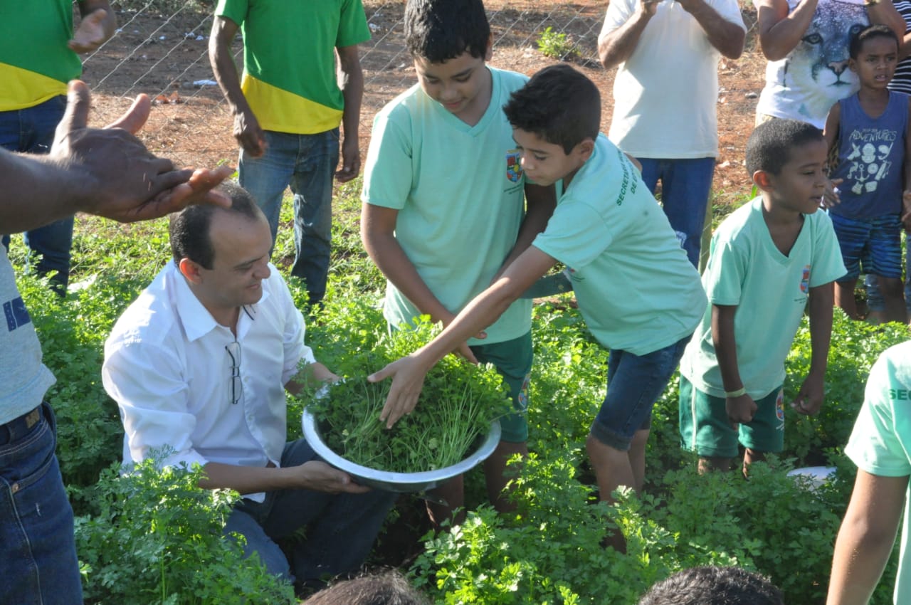 Prefeitura de Porto Nacional entrega primeira colheita da Horta Educativa para reforçar merenda das escolas e abrigos